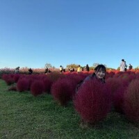 5日間ありがとうございます⸜🌷︎⸝‍