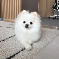 🩷明日います🩷