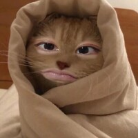 どうも✋(   ͡° ͜ʖ ͡° )