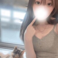 ☀️🐈