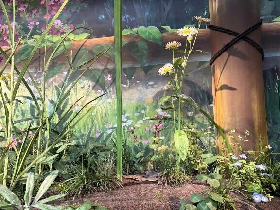 ? ?今日のありがとう?