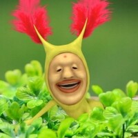 ここあ