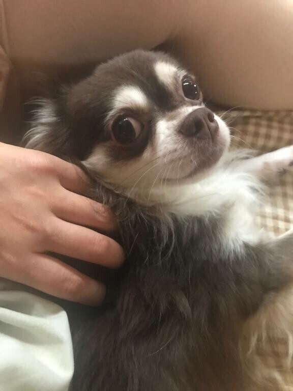 今日