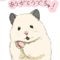 白雪
