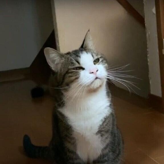 おはようございます?