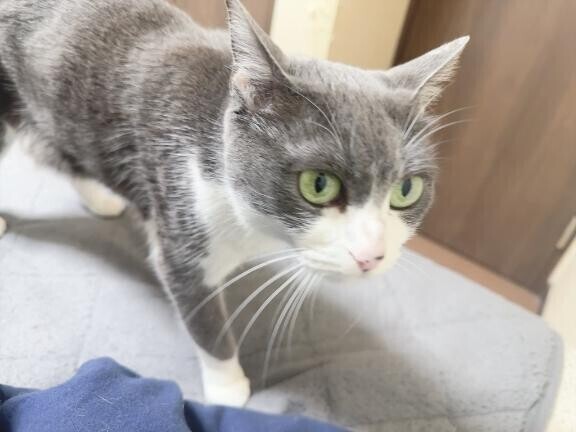 ありがとう!(´▽｀)