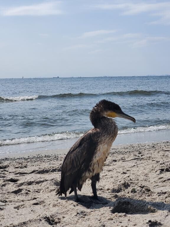 今日はお出かけ??