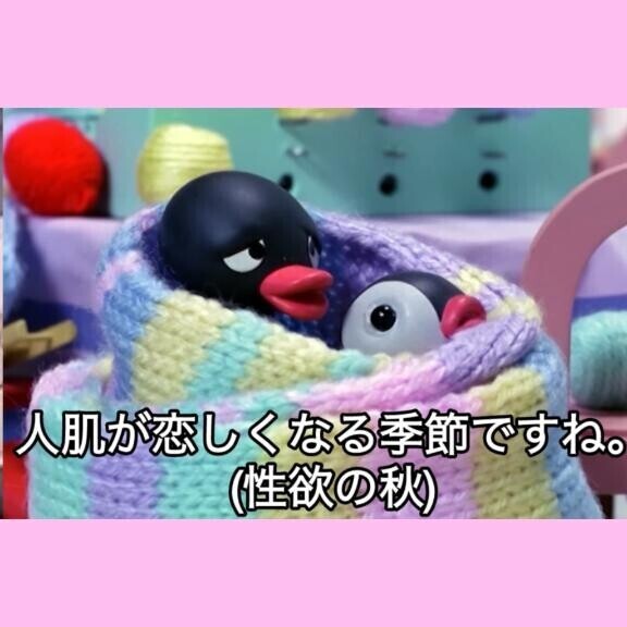 おにいさんにえろびーーーむ ????