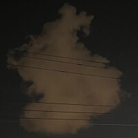 せな