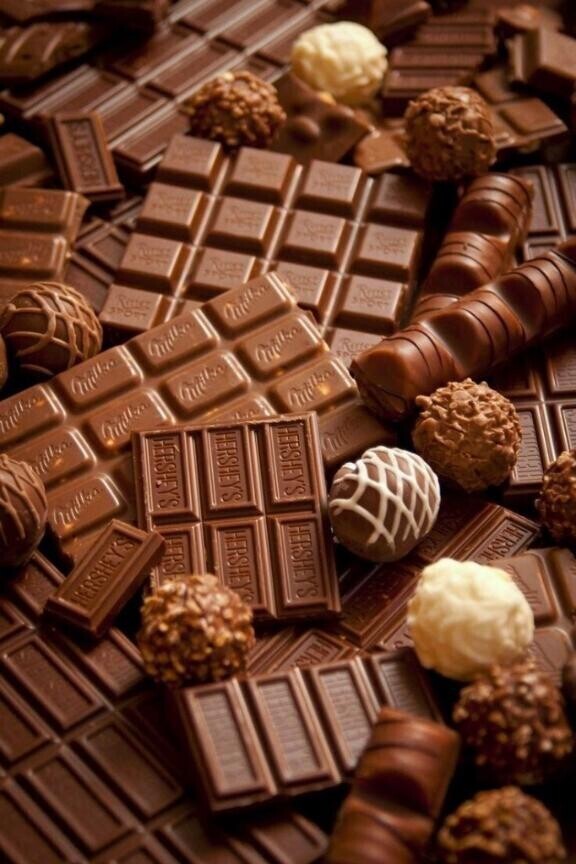 お兄様はどっち派？