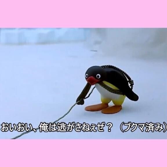 あつまれ！ぱい好きの森?