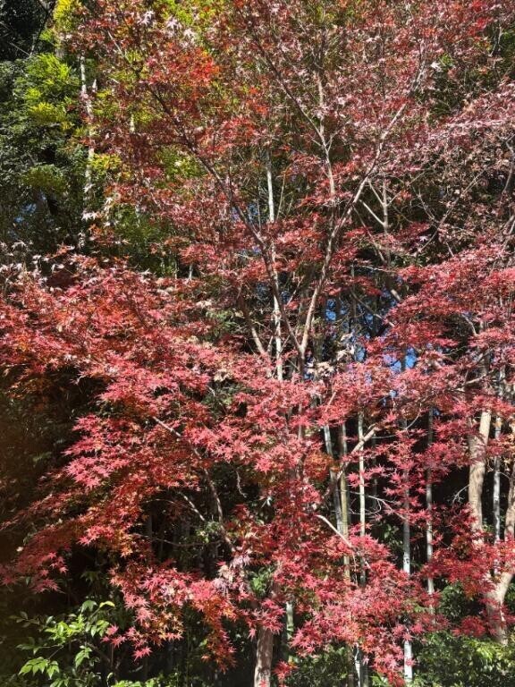 解除されたーー！