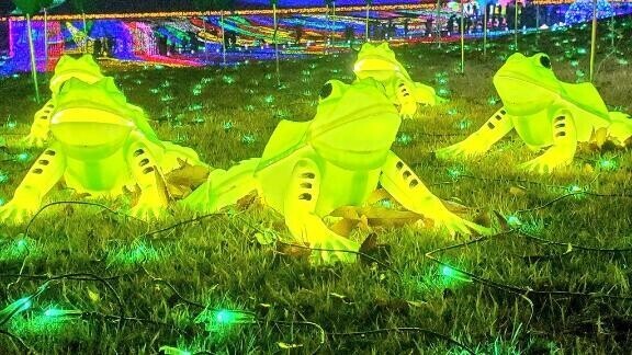 最近イルミ行ってきたよ?