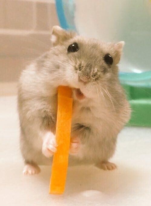 さり気ないオソロが理想