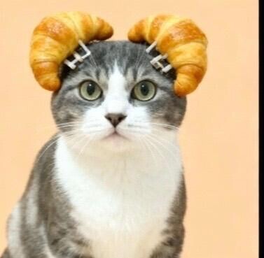 会話の相性大事ですね