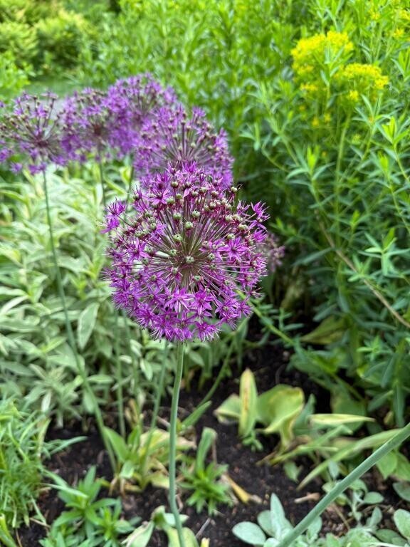 大事なお知らせ??♀?