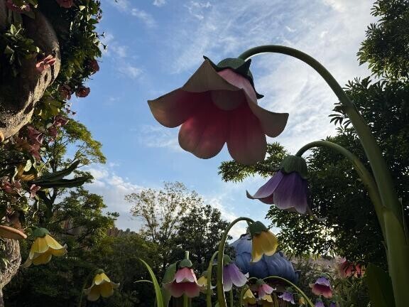 ??今日のありがとう?