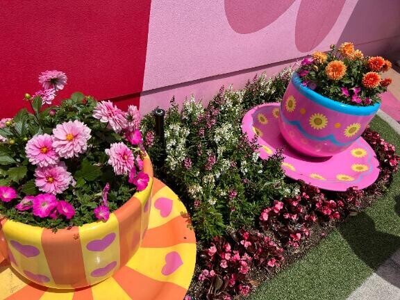 ? ?今日のありがとう?