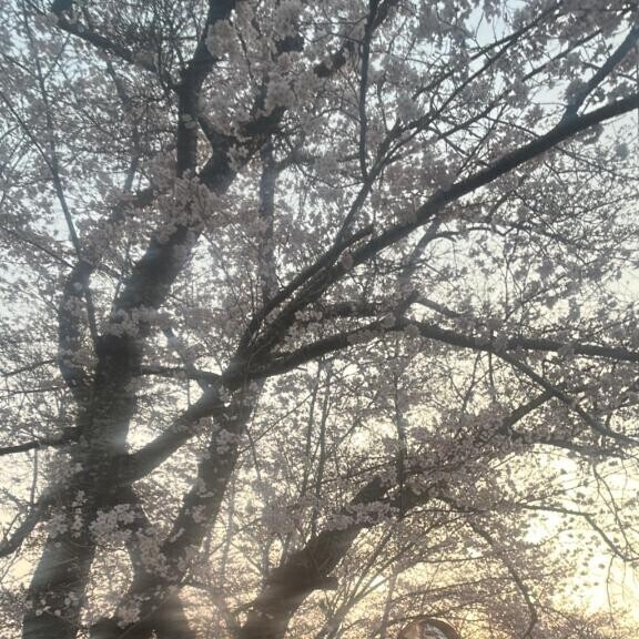 おさんぽしてる～??? ? ?