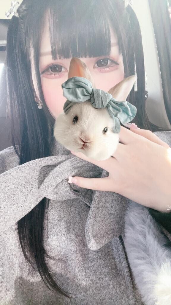 嫌なこと寝たら忘れるタイプ