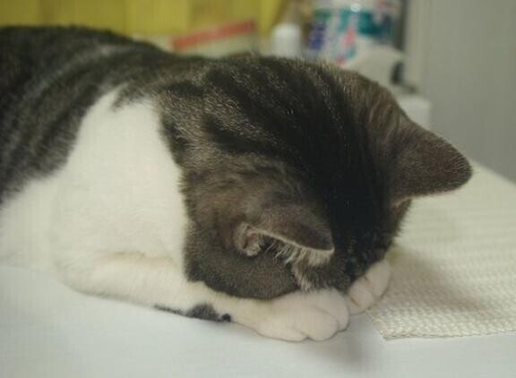 ほんと、なんでこうなる