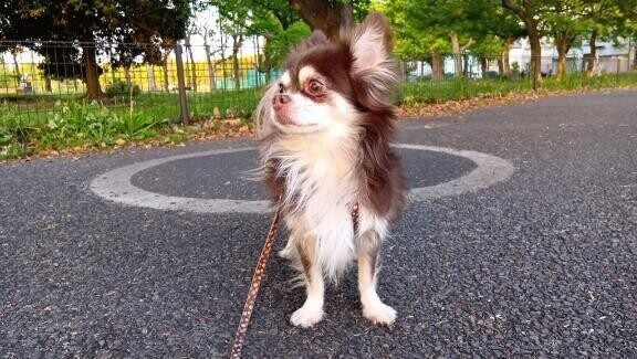 おはようございます?
