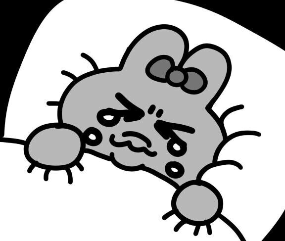?おはー?