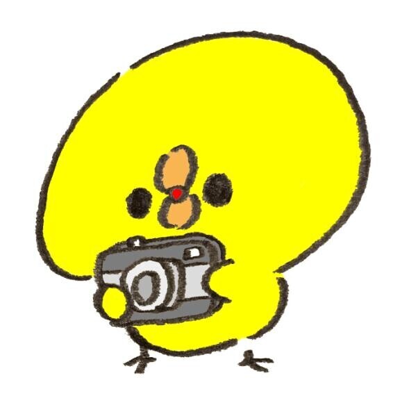 写真変わったよ?