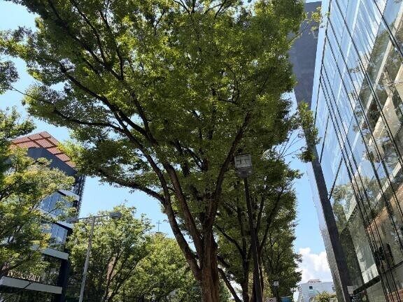 休暇4日目?