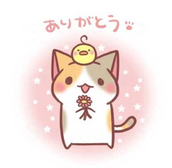 ニッコニコ(｡? ? ?。)?
