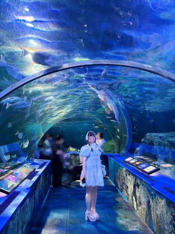海?