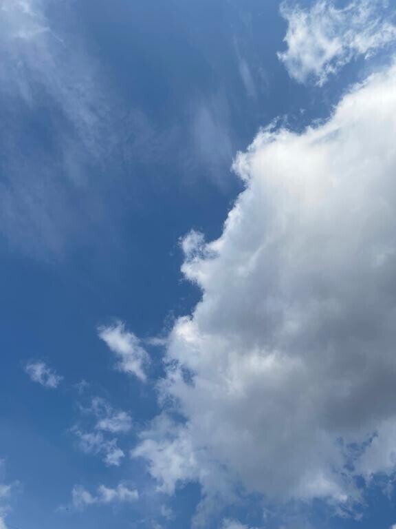 ひと段落(*´`)