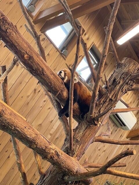 影響されやすくて、、