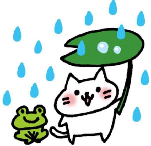 雨強い??