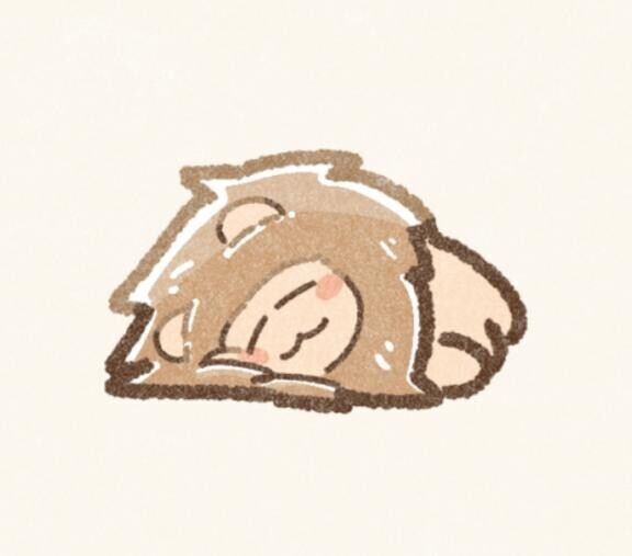 今日は