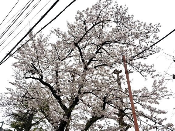 向かいます??