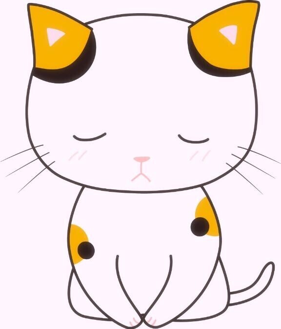 申し訳ないです…