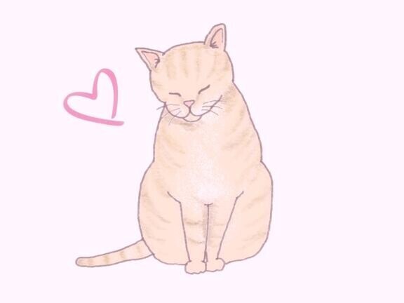 ありがとうございました?
