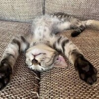 みずほ