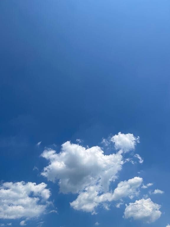 天気いい～