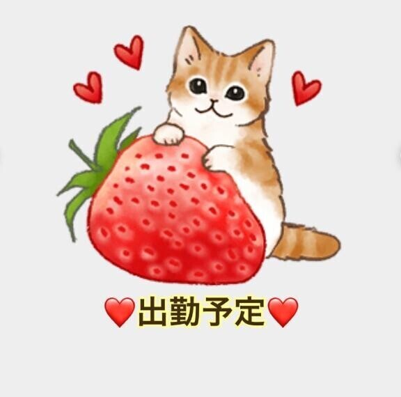 今週の出勤予定