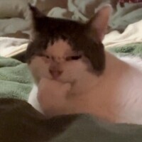 すぴか