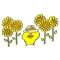 風花-ふうか-