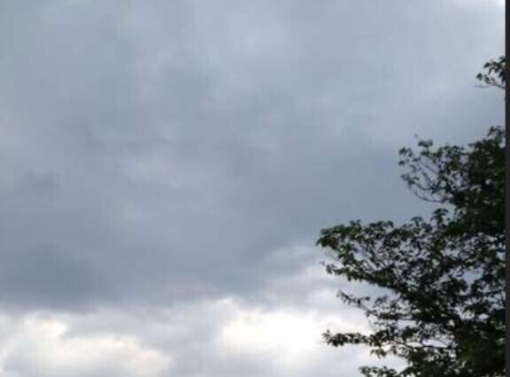 雨が