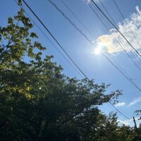 るな