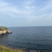 しおん