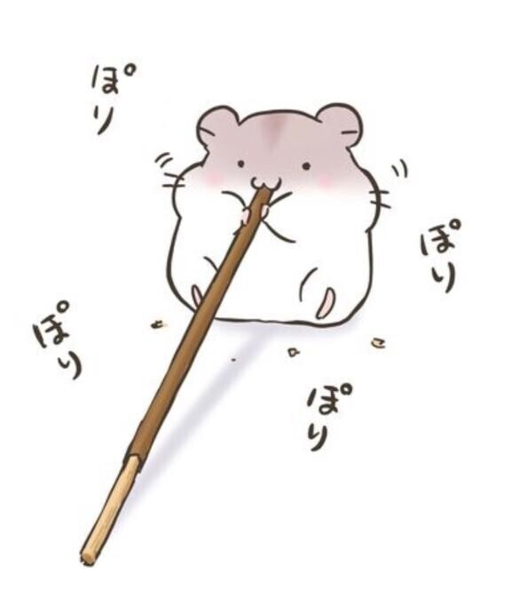 13時からいま～す！?