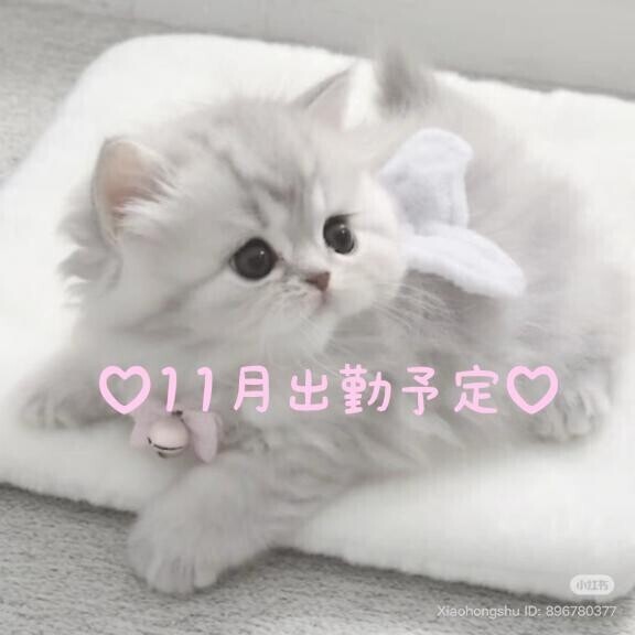 ??11月出勤予定?