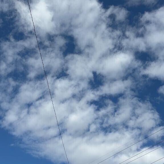 今日も一緒にぬくぬくしよ？