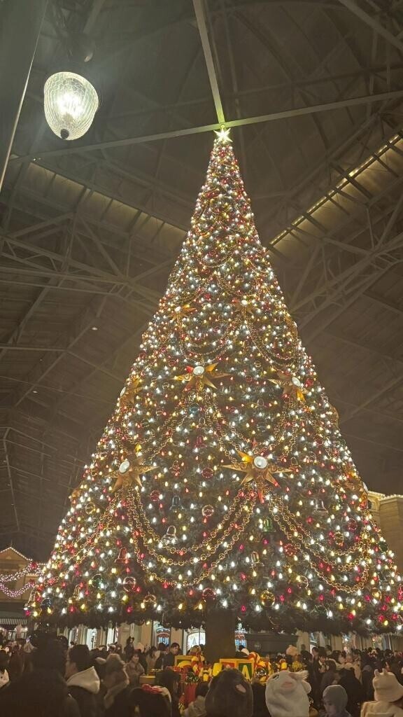 明日のご予約??